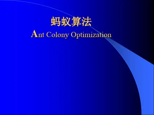 蚂蚁算法PPT课件
