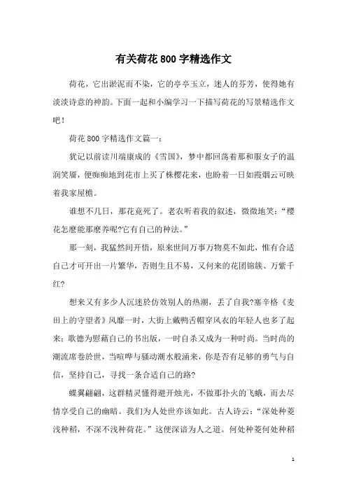 有关荷花800字精选作文