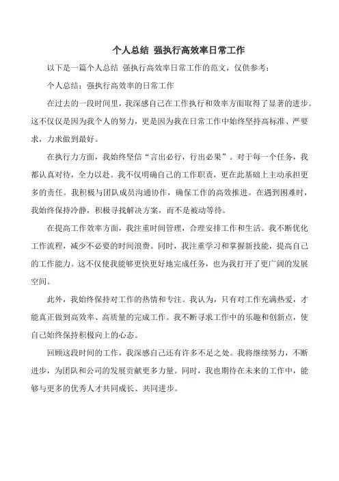 个人总结 强执行高效率日常工作