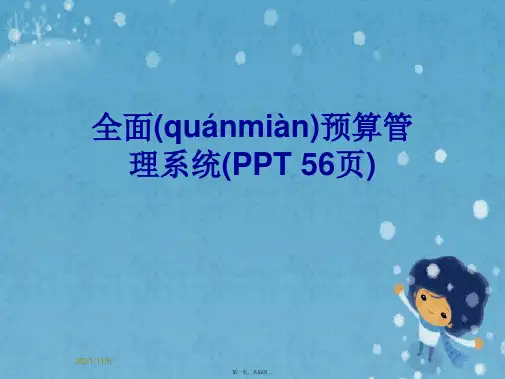 全面预算管理系统(PPT 56页)
