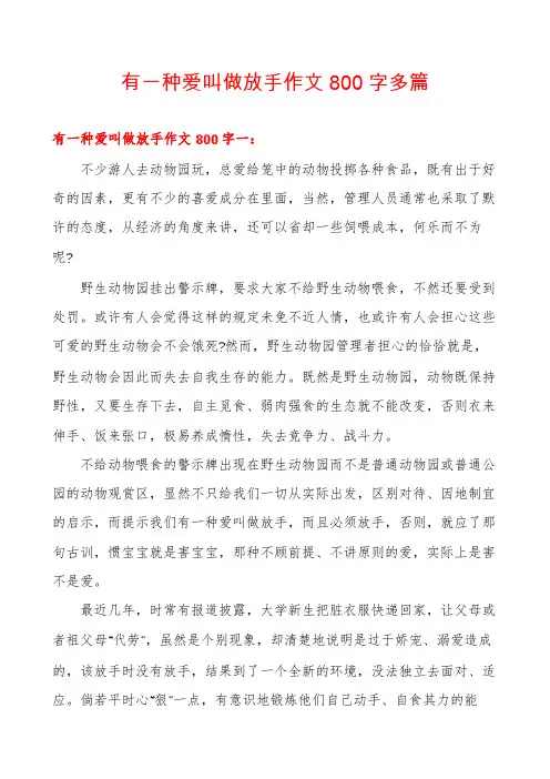 有一种爱叫做放手作文800字多篇