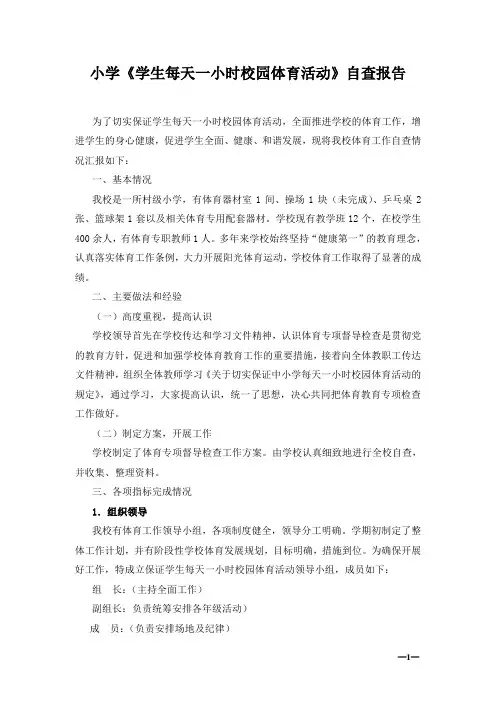小学《学生每天一小时校园体育活动》自查报告