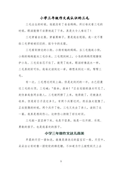 小学三年级作文我认识的三毛