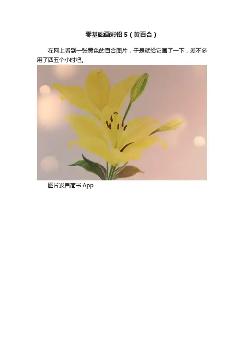 零基础画彩铅5（黄百合）