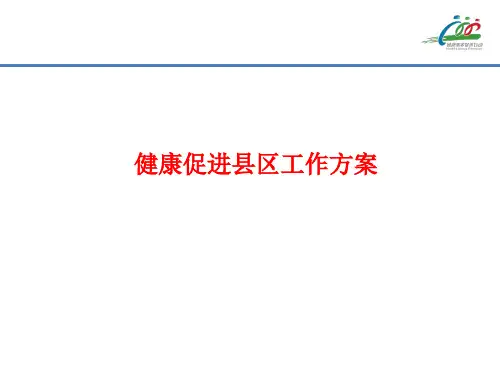 [课件]健康促进县区工作方案PPT