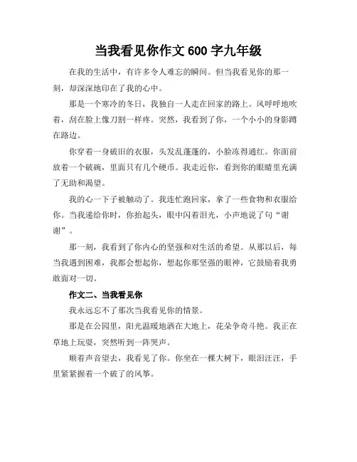 当我看见你作文600字九年级