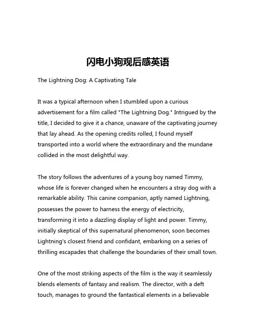 闪电小狗观后感英语
