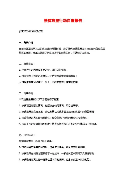 扶贫攻坚行动自查报告