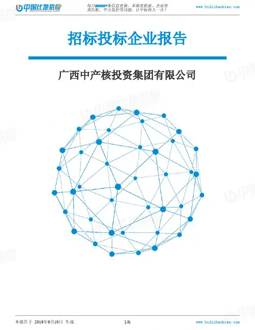 广西中产核投资集团有限公司_中标190920