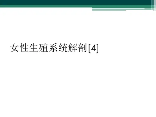 女性生殖系统解剖[4]