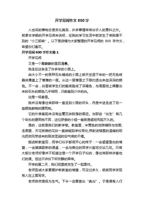 开学见闻作文800字