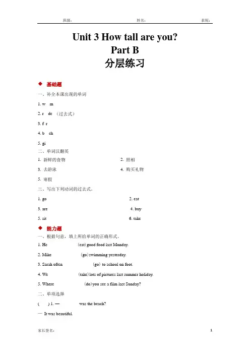 人教pep六年级英语下册分层练习unit 3 part b