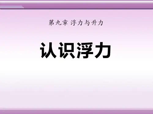 《认识浮力》浮力与升力2-粤沪版八年级物理下册PPT课件