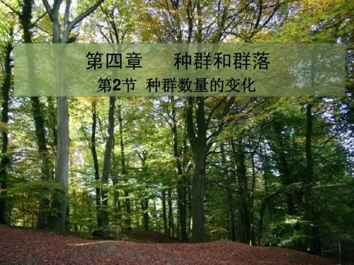 4.2种群数量的变化课