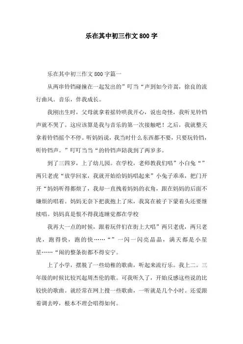 乐在其中初三作文800字