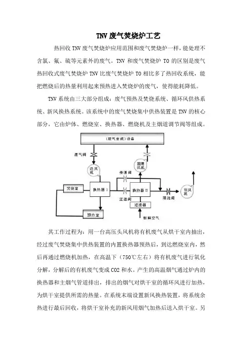 TNV废气焚烧炉工艺
