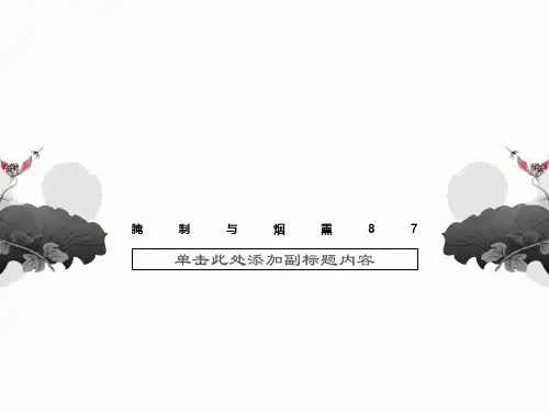 腌制与烟熏87
