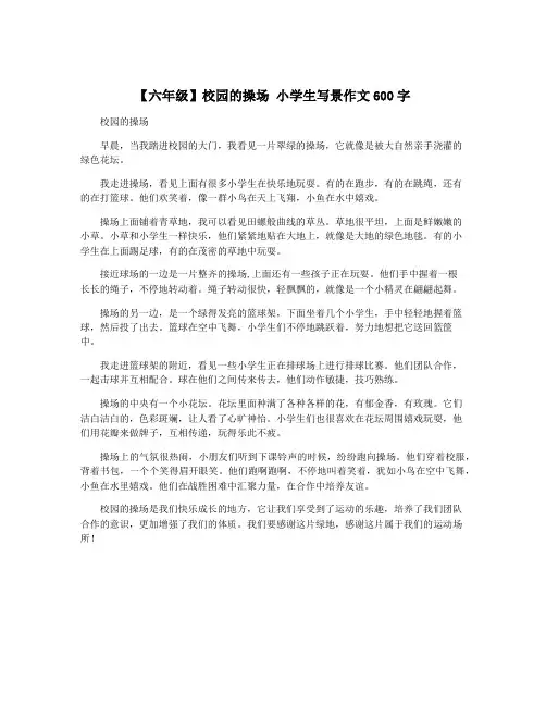 【六年级】校园的操场 小学生写景作文600字