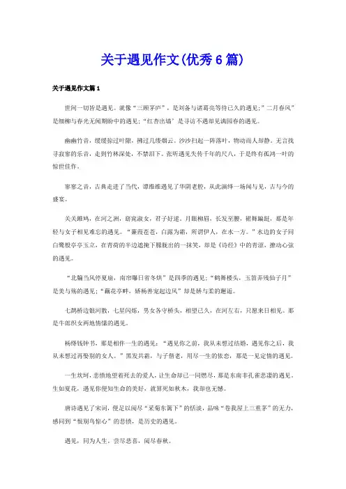关于遇见作文(优秀6篇)