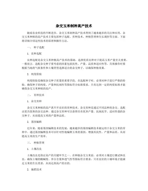 杂交玉米制种高产技术