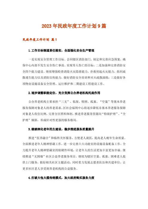 2023年民政年度工作计划9篇