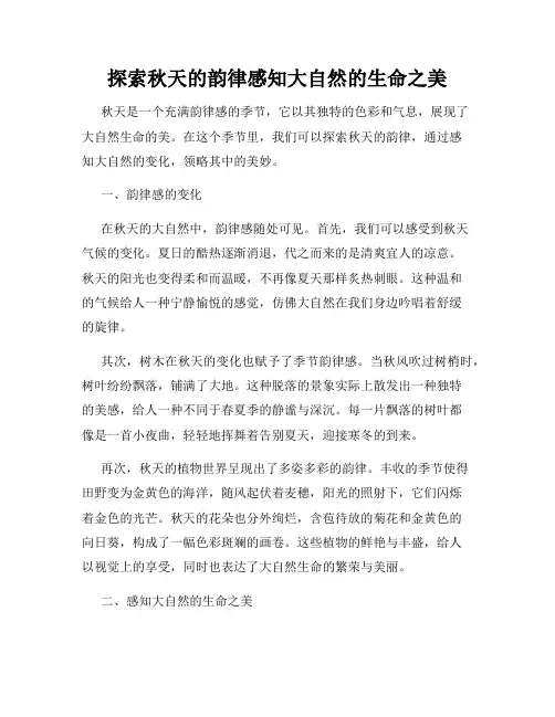 探索秋天的韵律感知大自然的生命之美