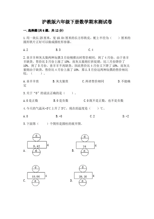 沪教版六年级下册数学期末测试卷加答案(能力提升)