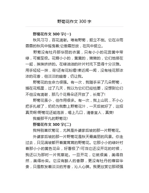 野菊花作文300字