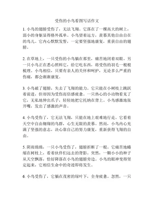 受伤的小鸟看图写话作文