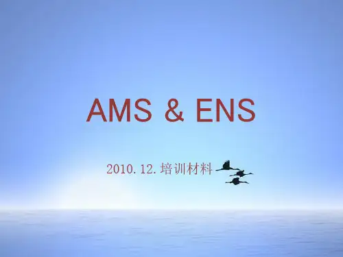 AMS ,ENS的说明