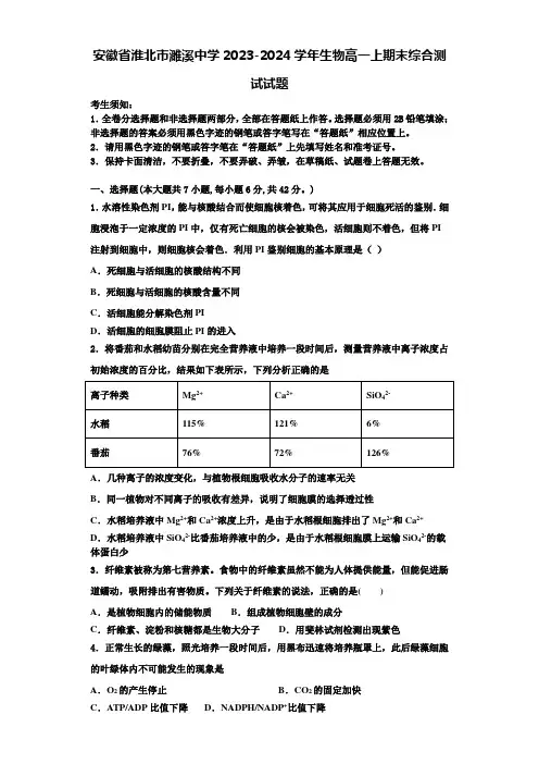 安徽省淮北市濉溪中学2023-2024学年生物高一上期末综合测试试题含解析