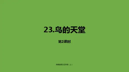人教部编版五年级《鸟的天堂》PPT优秀课件(共19张PPT)
