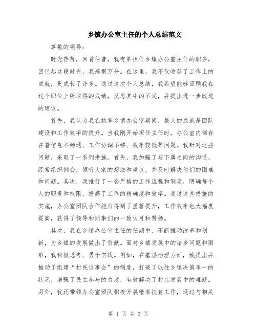 乡镇办公室主任的个人总结范文