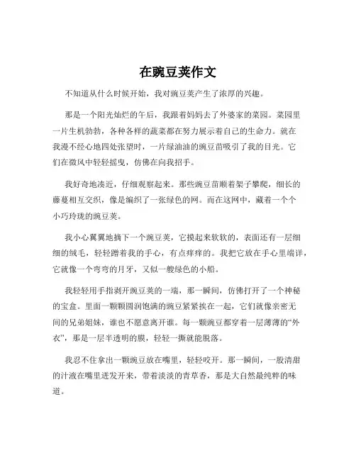 在豌豆荚作文