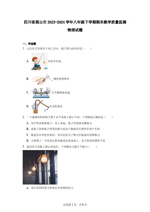四川省眉山市2023-2024学年八年级下学期期末教学质量监测物理试题