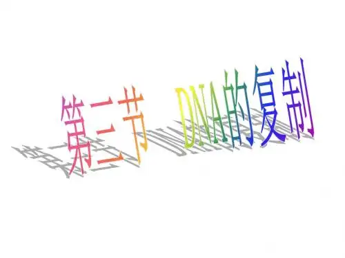 3.3DNA的复制