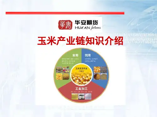玉米产业链