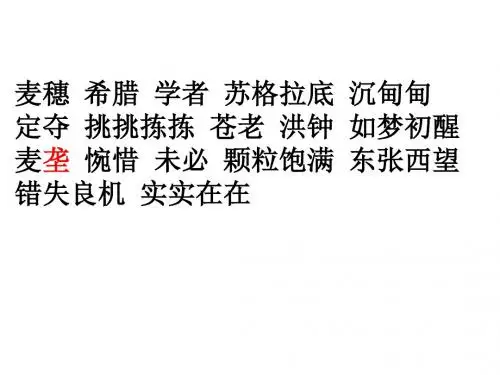 16-《最大的麦穗》PPT课件1