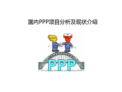 国内PPP项目分析及现状介绍.ppt