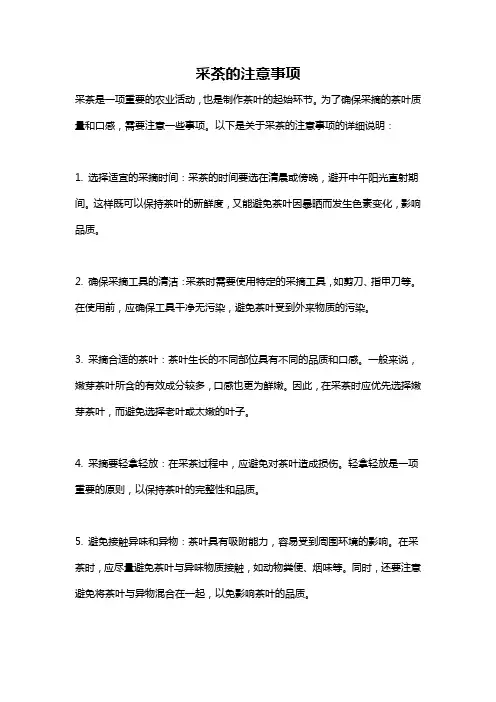 采茶的注意事项
