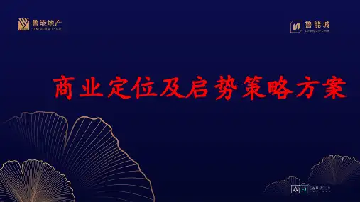 招商定位—鲁能城商业定位及启势策略策划方案