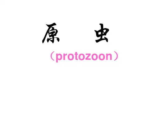 --原虫简介,阿米巴原虫,鞭毛虫
