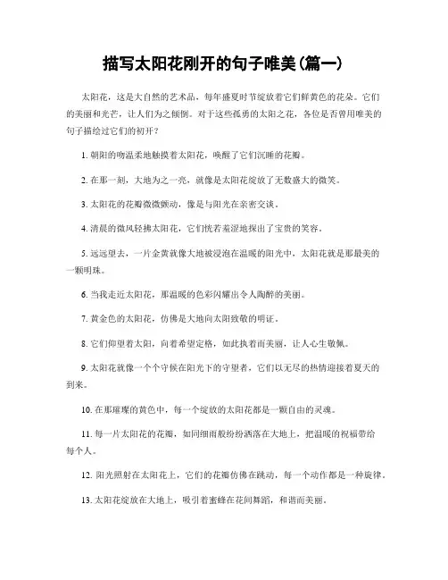 描写太阳花刚开的句子唯美(精选合集2篇)