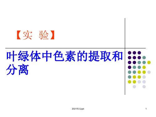 叶绿体中色素的提取与分离实验ppt课件