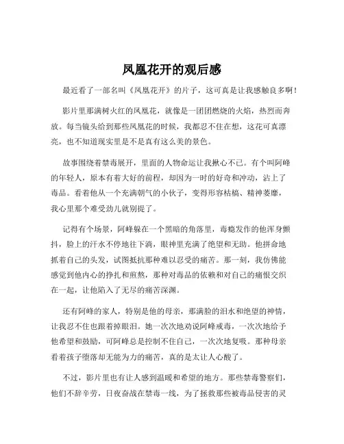 凤凰花开的观后感
