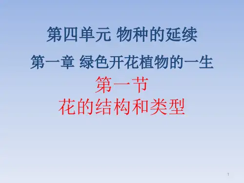 济南版八年级生物上册全套ppt课件