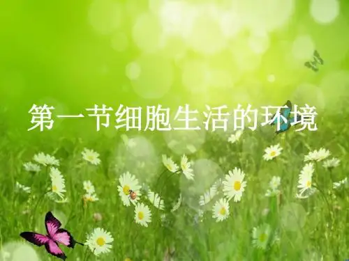生物课件：细胞生活的环境