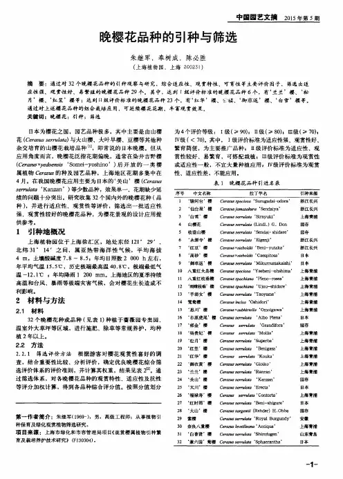 晚樱花品种的引种与筛选
