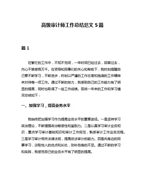 高级审计师工作总结范文5篇