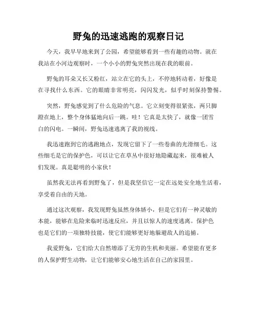 小学三年级作文野兔的迅速逃跑的观察日记